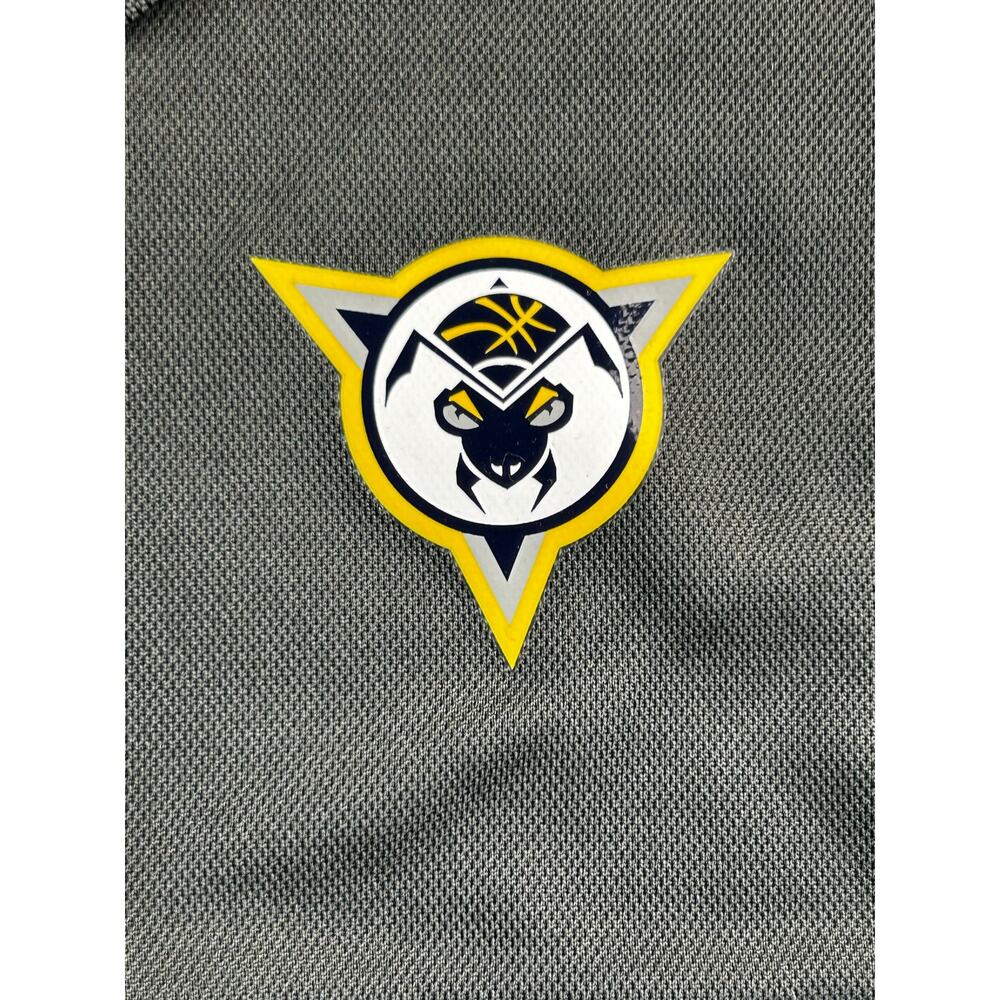 Nike Greensboro Swarm G League Dri-FIT Polo Men's M NWT Hornets - Picture 4 of 9
